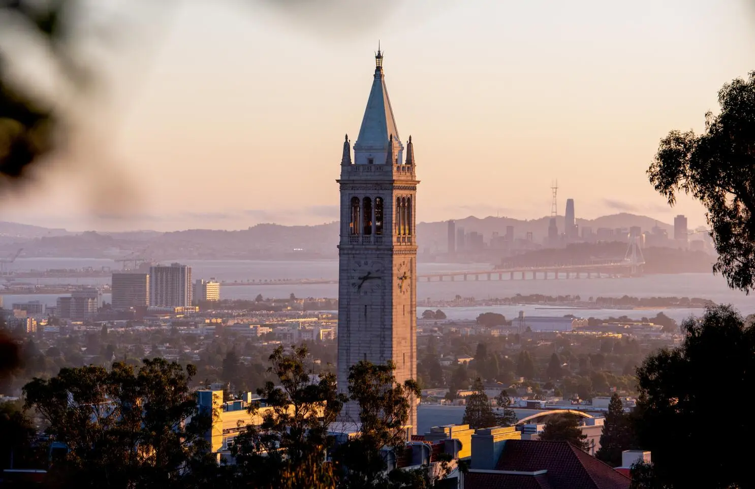 The UC Berkeley campanile above the San Francisco Bay
